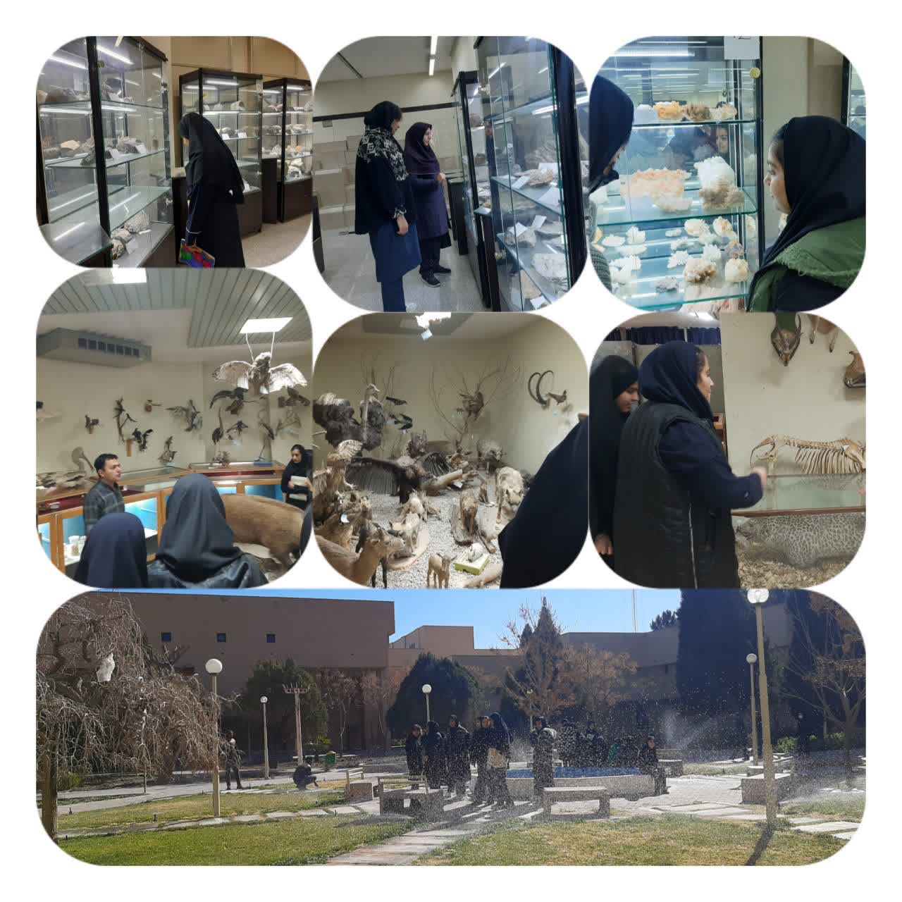 بازدید دانش آموزان از بخش‌های زمین شناسی و جانور شناسی  دانشگاه شهید باهنر