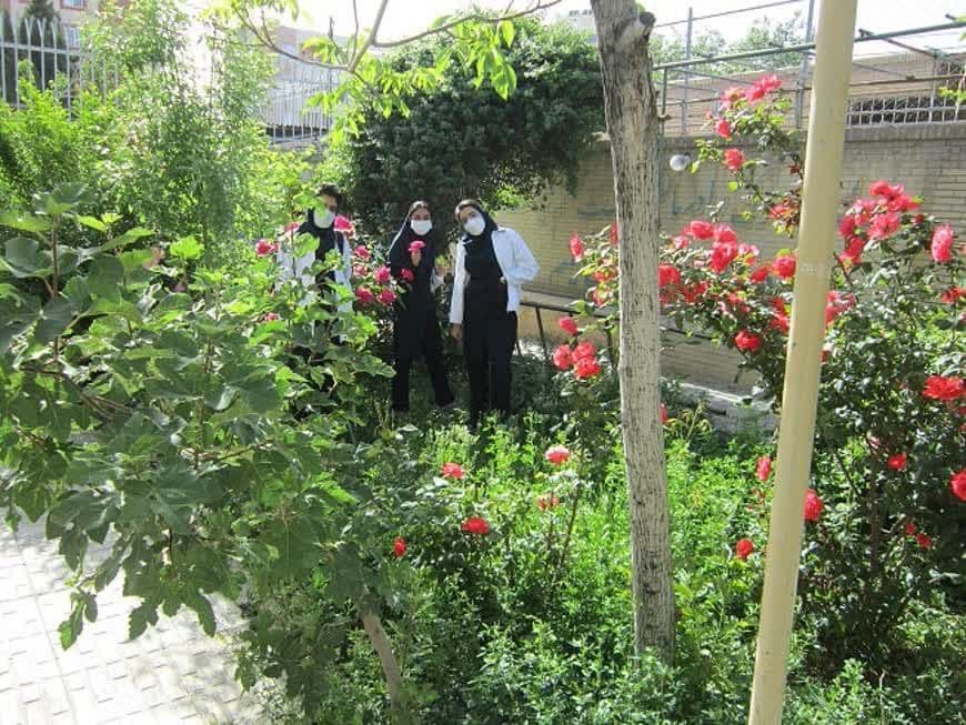 حیاط مدرسه