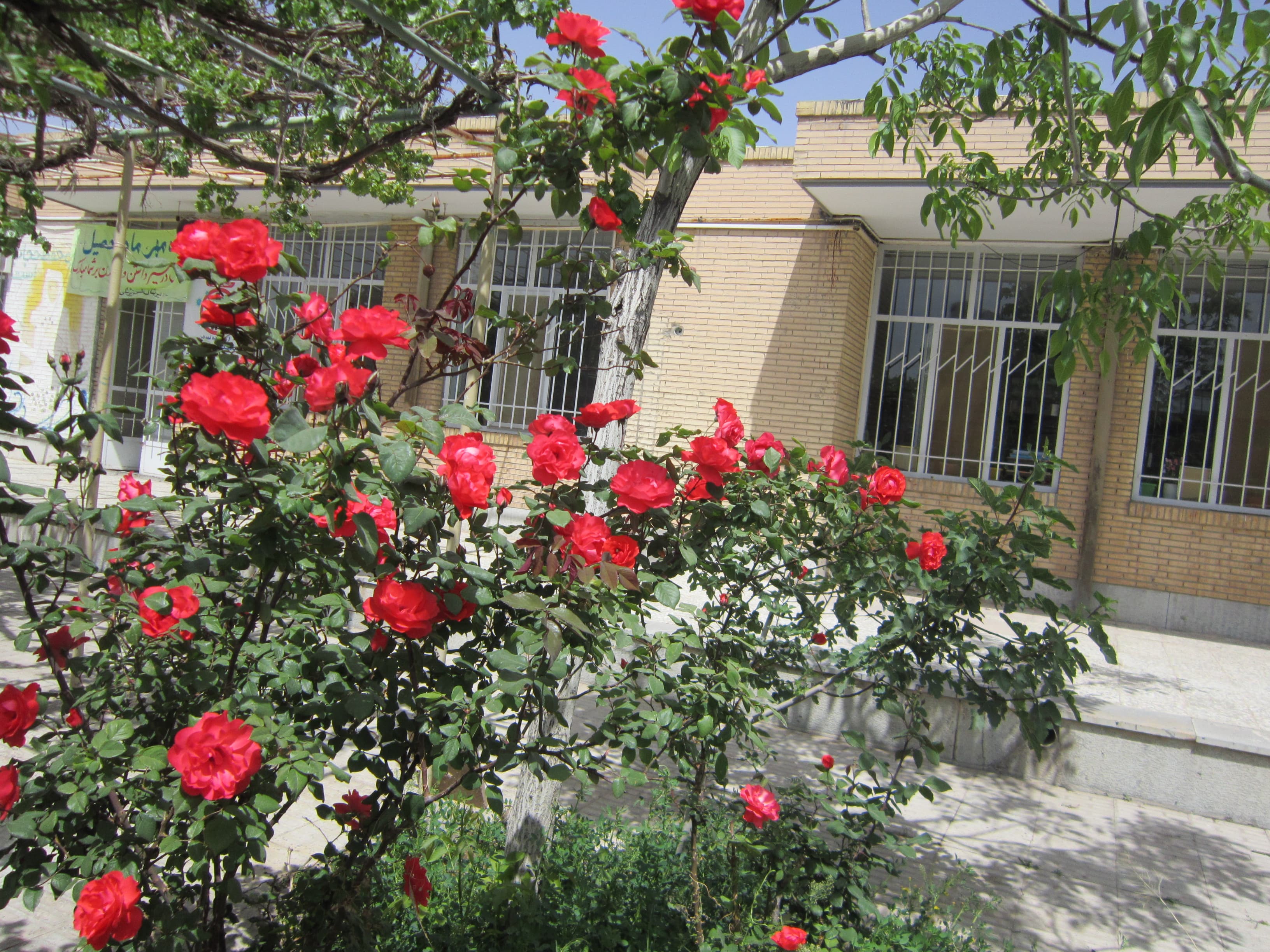 فضای داخلی