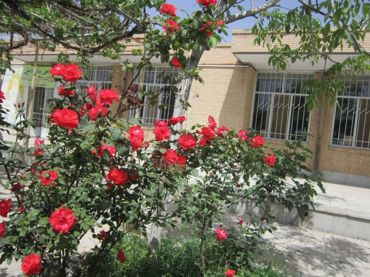 طبیعت زیای حیاط مدرسه